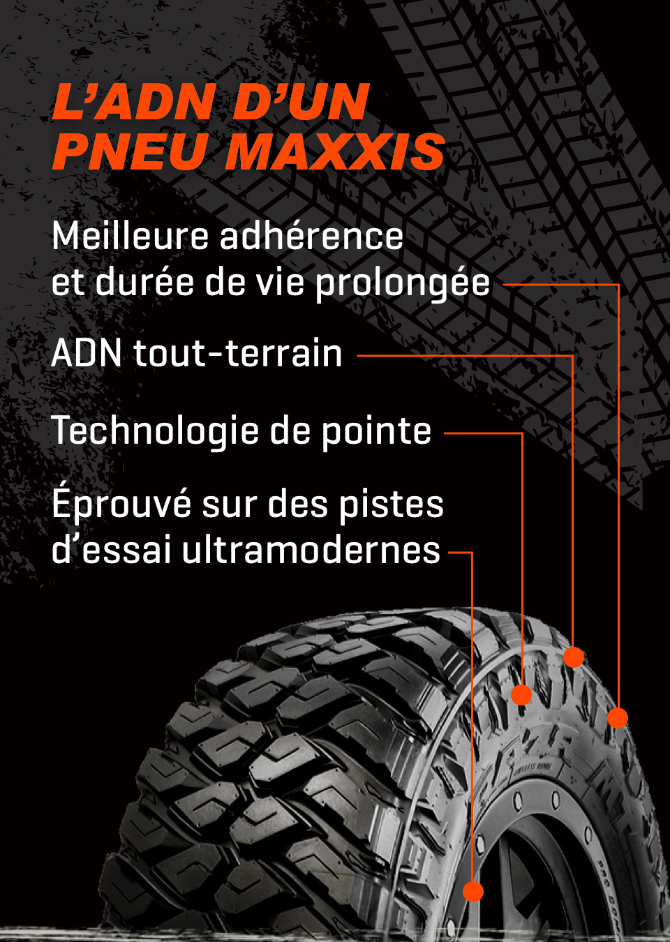 Anatomy Tire